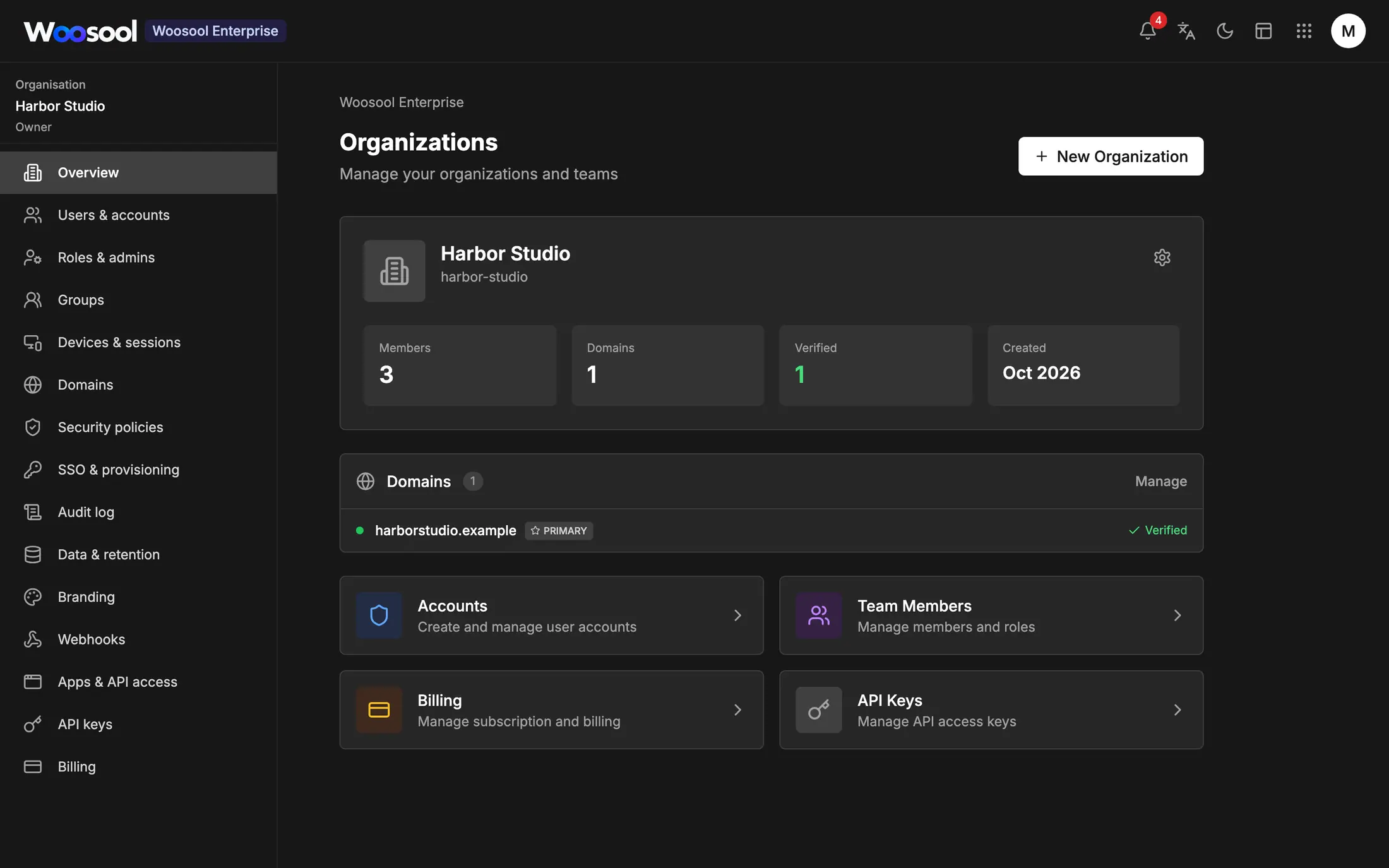 Woosool Account organisation overview with members, a verified domain and admin sections