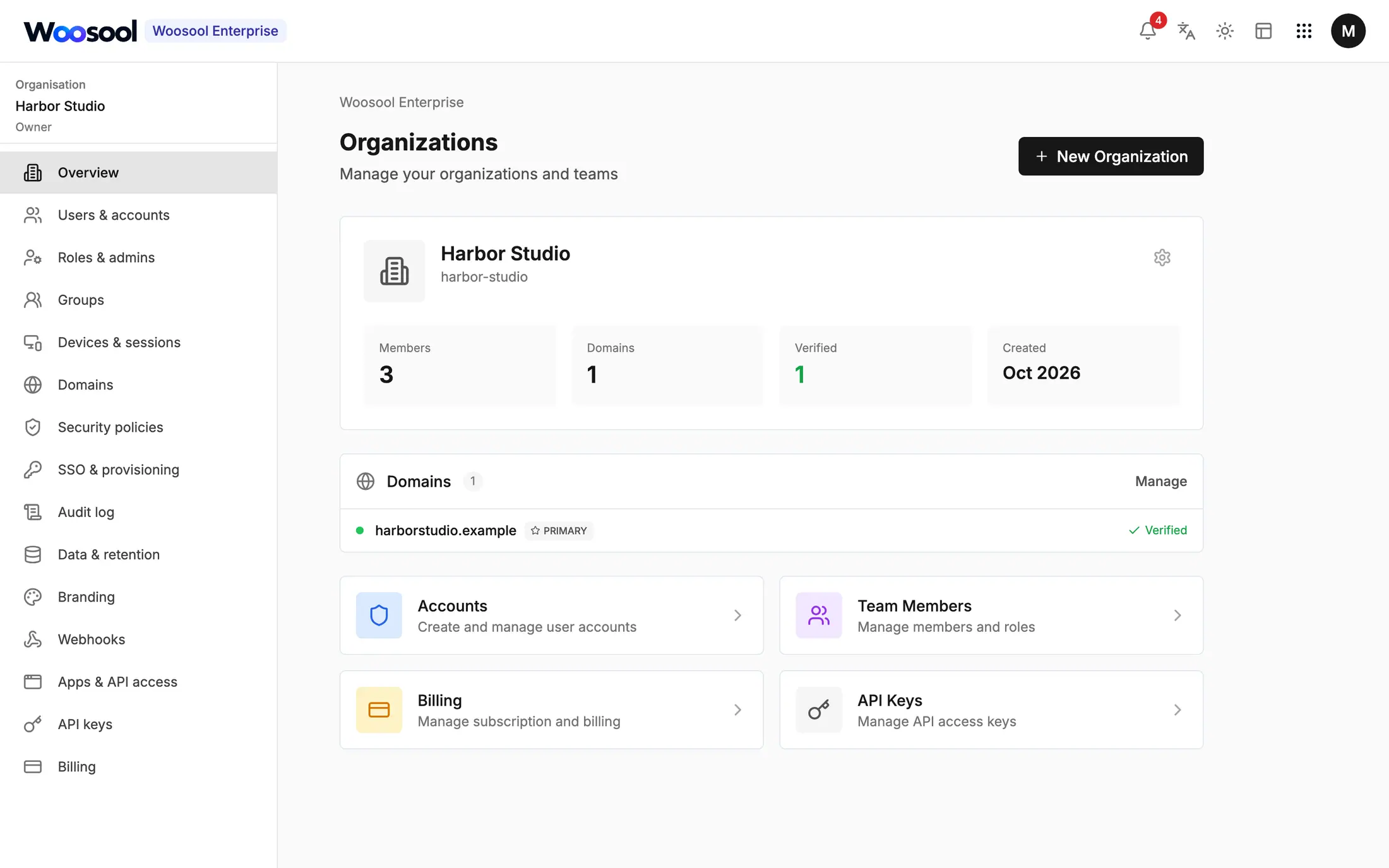Woosool Account organisation overview with members, a verified domain and admin sections